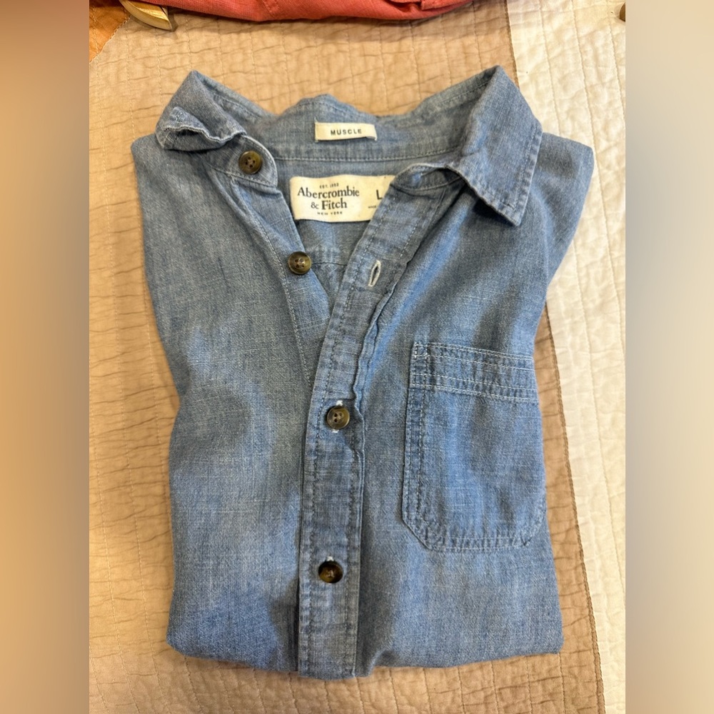 Abercrombie & Fitch Mens Dress Shirt